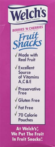 Welch's Fruit Snacks - Mixed Fruit Box - Kids Snacks - 0.8 Oz - 40 Pack